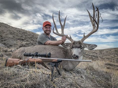 Hunters: 2024 Wyoming hunt forecast available.